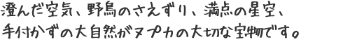 澄んだ空気、野鳥のさえずり、満点の星空、手付かずの大自然がヌプカの大切な宝物です。
